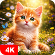 Icon of program: Cat Wallpapers  Cute Kitt…