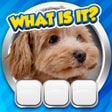 Guess it Zoom Pic Trivia Game