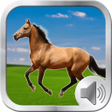 プログラムのアイコン：Horse Sounds Ringtones