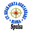 Spulsa icon