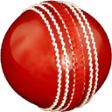 Icon of program: Cricket All-rounder Prac…