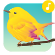 أيقونة البرنامج: Bird Sounds Ringtones
