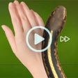 Icon of program: Insects Prank