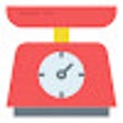 程序图标：Converter Weight New Tab