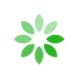 Icon of program: Tazalyk