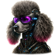 Programın simgesi: Poodle Clicker 2