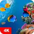 Icon of program: Underwater Wallpapers 4K