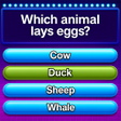 أيقونة البرنامج: Trivia Crush