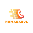 Ícone do programa: NumaraBul - Numara Sorgul…