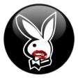 程序图标：Bunny VPN - unlock blocki…