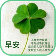 Icona del programma: 早安 午安晚安圖片問候