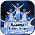 Icon of program: Punjabi Bhangra Dance Ste…