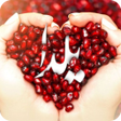 프로그램 아이콘: آهنگ های شب یلدا