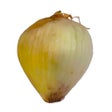 Иконка программы: Onion