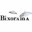 Icono de programa: Bixorama