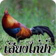 Icon of program: เสยงไกปาธรรมชาต