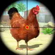 Chicken Shooting 3D Hunt Games