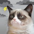 プログラムのアイコン：Grumpy Cat Weather