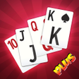 程序图标：Rummy Plus  Card Games