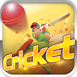 程序图标：Cricket
