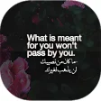 English Quotes With Arabic translation