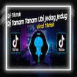 Icoon van programma: DJ Tanam Ubi Upin Ipin Re…