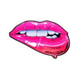 ไอคอนของโปรแกรม: Naughty Stickers for What…