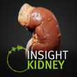 プログラムのアイコン：INSIGHT KIDNEY