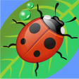 أيقونة البرنامج: Kids games for Babies