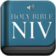 Niv Bible Offline Version
