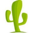 Icon of program: CactusVPN