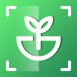 iplant - Plant Identification