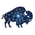 Programikonen: Bisonary - AI Replies for…