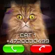 Icon of program: Fake Video Call Cat