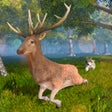 プログラムのアイコン：Deer Simulator: Animal Li…