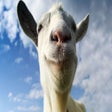Ícone do programa: Goat Simulator