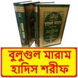أيقونة البرنامج: বুলুগুল মারাম হাদিস শরীফ~…