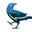 Ikon program: Raven's Night
