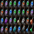 Icon of program: Balanced Decoctions