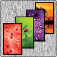 Icon of program: HD Wallpapers