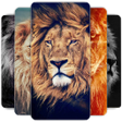 プログラムのアイコン：Lion Wallpapers HD