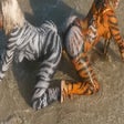 プログラムのアイコン：Mesmerizing Twerk Moves L…