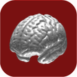 プログラムのアイコン：N-Back Memory Training