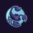 Ícone do programa: Scorpion VPN