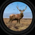Иконка программы: Wild Animal Hunter Shooti…