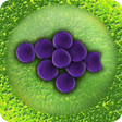 プログラムのアイコン：Bacteria