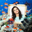 程序图标：Aquarium Photo Frames