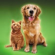Ikon program: Cat Sounds  Dog Sounds