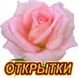 程序图标：Открытки и поздравления н…