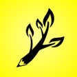 Ícone do programa: Wordraw - Word Generator